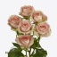 product/img.floraplaza.nl/LAZO5-ART_fotos-VBN-vbn119666.jpg