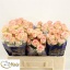 product/img.floraplaza.nl/LAZO5-LIVE_fotos-0x4C4F93166545A0E2FE23ECC8B738F8CDD1BE146E.jpg