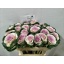 product/img.floraplaza.nl/LBRA7EMPA-LIVE_fotos-0x3FD376E6822B77365226C90B11CA6FCA46E29E7C.jpg