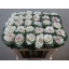 product/img.floraplaza.nl/LBRA7EMPA-LIVE_fotos-0xE95AB3C39141E827A2B323E06F4FBFC48DE61395.jpg