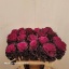 product/img.floraplaza.nl/LBRAELE6-LIVE_fotos-0xCBF659F0C777245F7C45762C6C1F091ECCE6E688.jpg