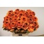 product/img.floraplaza.nl/LBRAVÄR6-ASSORTI_fotos-Waximum-Waximum -Brassica Poeder oranje zwart oog.JPG