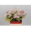 product/img.floraplaza.nl/LCAPG5BLUB-LIVE_fotos-0x75A5173BFA6AFC8D1473594B901367562AA5A063.jpg