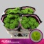product/img.floraplaza.nl/LCHRALE-LIVE_fotos-0xDEBBBB46C64063AE8824C619DF4C3DD0AFEB0787.jpg