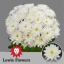 product/img.floraplaza.nl/LCHRB-LIVE_fotos-0x55B107E4ED1C5EE38214CBCFBE0988C806A87BD3.jpg