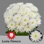 product/img.floraplaza.nl/LCHRB-LIVE_fotos-0x749799DAF3C9E0C62859A86E696E5E7D64784C9F.jpg