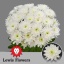 product/img.floraplaza.nl/LCHRB-LIVE_fotos-0x806077D53752970C193469F843DF9CBD3BE8068C.jpg