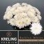 product/img.floraplaza.nl/LCHRB-LIVE_fotos-0xAFFC5D82334E128C2F1AB1FAC297C07E3C59DCA8.jpg