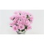 product/img.floraplaza.nl/LCHRBP-LIVE_fotos-0xC6D4390A71D32584F1B098DB00A34B7BA7FC5597.jpg