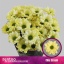 product/img.floraplaza.nl/LCHRCHIC-LIVE_fotos-0x08FF45DC7667E096A69BAB1E28B4B4093AE7D53B.jpg