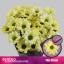 product/img.floraplaza.nl/LCHRCHIC-LIVE_fotos-0xF95C5992A922B7F18E049BE0874EF8031CD2BB53.jpg