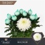 product/img.floraplaza.nl/LCHRMA-LIVE_fotos-0x098040FF7AE48B65F42EFE3A1870AFDD701CDCB2.jpg