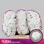 product/img.floraplaza.nl/LCHRSANBAY-LIVE_fotos-0x4CD39A20D89E5BDDD05D33E7C9D0C02DB5CB4F7D.jpg