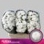 product/img.floraplaza.nl/LCHRSANBAY-LIVE_fotos-0x6287F874CEC5E8C3FFA0AF6A5D3CABD44B26F92E.jpg