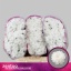 product/img.floraplaza.nl/LCHRSANBAY-LIVE_fotos-0xE50E79DBBD6FD3A3ECC0C9CFB10D9255F14CB414.jpg
