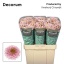 product/img.floraplaza.nl/LCHRSANDORP-LIVE_fotos-0x0A4E334C30CA91626BB1D7D8D1F3FF1BC2C4F688.jpg