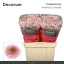 product/img.floraplaza.nl/LCHRSANDORP-LIVE_fotos-0xDC54E74868B47EE8CADAAA47E459D40676EED25F.jpg