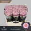 product/img.floraplaza.nl/LCHRSANELLS-LIVE_fotos-0x07C97DDAE2B690D6D7E0C01514E791891BA4D1EA.jpg