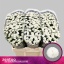 product/img.floraplaza.nl/LCHRSANPIZ-LIVE_fotos-0xA961D4E405F542B90C11F2A90AF03FA77DC65124.jpg