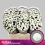 product/img.floraplaza.nl/LCHRSANPIZ-LIVE_fotos-0xEE5D7BE1A868EA90F982CD627AF266F670028718.jpg