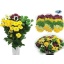 product/img.floraplaza.nl/LCHRSANPOMM-ASSORTI_fotos-MVA-Flowers4all - Santini mix pompon.jpg