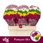 product/img.floraplaza.nl/LCHRSANPOMM-LIVE_fotos-0x31CF185293AD1EC1A427F1769DCBD5607976DB52.jpg