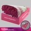 product/img.floraplaza.nl/LCHRSANPUR-LIVE_fotos-0x4D9F59F7181BB0DB642D8AB41583C3CCBB052507.jpg