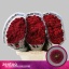 product/img.floraplaza.nl/LCHRSANPURR-LIVE_fotos-0x0A6E05161AC5EB80B36933203D87AE9A9AE6A5CD.jpg