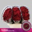 product/img.floraplaza.nl/LCHRSANPURR-LIVE_fotos-0x87E0FFAFAF00E152626F6CF534CE7321E98AC9C0.jpg