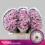 product/img.floraplaza.nl/LCHRSANROSP-LIVE_fotos-0x40C72C8BE7129D7CD1A5110B7E50819E9E579514.jpg
