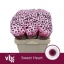 product/img.floraplaza.nl/LCHRSANSWE-LIVE_fotos-0xA833833588EE9F8EAC4BD407FE4A4B4A00FDA178.jpg