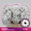 product/img.floraplaza.nl/LCHRSANYIN-LIVE_fotos-0x2231ACB2F4ACEBAC0FE3BC55A5E73987FEE9FB99.jpg