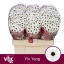 product/img.floraplaza.nl/LCHRSANYIN-LIVE_fotos-0x4D70855E78BDA18491D863C1DC7C3D0CF9481B18.jpg