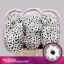 product/img.floraplaza.nl/LCHRSANYIN-LIVE_fotos-0x94C5ED373B7AAB7D2C406AF6191600789C663D1E.jpg