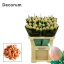 product/img.floraplaza.nl/LCHRVIEC-LIVE_fotos-0x83528603B707B4D8B9F0A82B0CF7A687DBF9B6FA.jpg