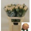 product/img.floraplaza.nl/LCHRVIEC-LIVE_fotos-0xEEE5F7039A25F0939191A87C6210E1A90376DEC9.jpg