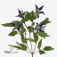 product/img.floraplaza.nl/LCLEOSL5-ART_Fotos-VBN-vbn117969.jpg
