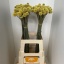 product/img.floraplaza.nl/LCRA7-LIVE_fotos-0x8766CAEC4B1CE9FDD6747DAA822C5E5497CDD244.jpg