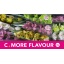 product/img.floraplaza.nl/LCYM5-LIVE_fotos-0x3E12634FC2026C02A5821FA7457D35B31630D263.jpg