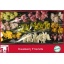 product/img.floraplaza.nl/LCYM6-LIVE_fotos-0x1B322BA3431AEB5A1621CB33EBD8008D7E1CBFB2.jpg