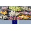 product/img.floraplaza.nl/LCYM6-LIVE_fotos-0x79664EE378A1E5908CEB90BBAE8D8D5C2BEDF533.jpg
