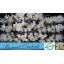 product/img.floraplaza.nl/LCYM6CAS-LIVE_fotos-0xDFC5FE401D22F745D9F5A6604B9CAB1F36EABC21.jpg