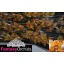 product/img.floraplaza.nl/LCYM6EST-LIVE_fotos-0xC6485F87FBF23C0ABC03B0C67F9323E511B2492C.jpg