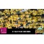 product/img.floraplaza.nl/LCYMCOOK8-LIVE_fotos-0x07CF7CA0DC561F8EF49CB6B1AF5FB9A621C98DA5.jpg