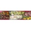 product/img.floraplaza.nl/LCYMMI5-LIVE_fotos-0xF39CC4EB4CD3589F9BDD1933C2737EB1C020FC99.jpg