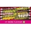 product/img.floraplaza.nl/LCYMMIN6-LIVE_fotos-0xAA118F76A7AD23BE5157181F36A96F31DEFCF74C.jpg