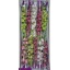 product/img.floraplaza.nl/LCYMMIN6-LIVE_fotos-0xFD1BB5807D86791D1BF22D36C7D413083CF8C2B5.jpg