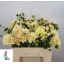 product/img.floraplaza.nl/LDAH5CHA-LIVE_fotos-0x70FC3482BDE35230FED4FDB95560DDB3F7475C38.jpg