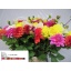 product/img.floraplaza.nl/LDAHL5-LIVE_fotos-0xA6DF580C1633AD37B3C32F8E5188309A94B88383.jpg