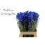 product/img.floraplaza.nl/LDELENEB6-LIVE_fotos-0xA5375B1A835CDCEBF8773DD1C99FB5193E22D4CB.jpg